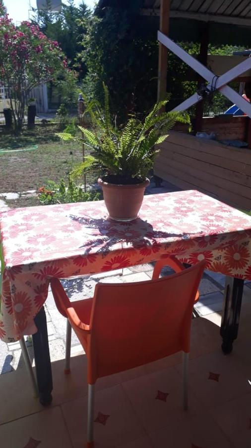 Alloggio in famiglia Kolonia E Artistave