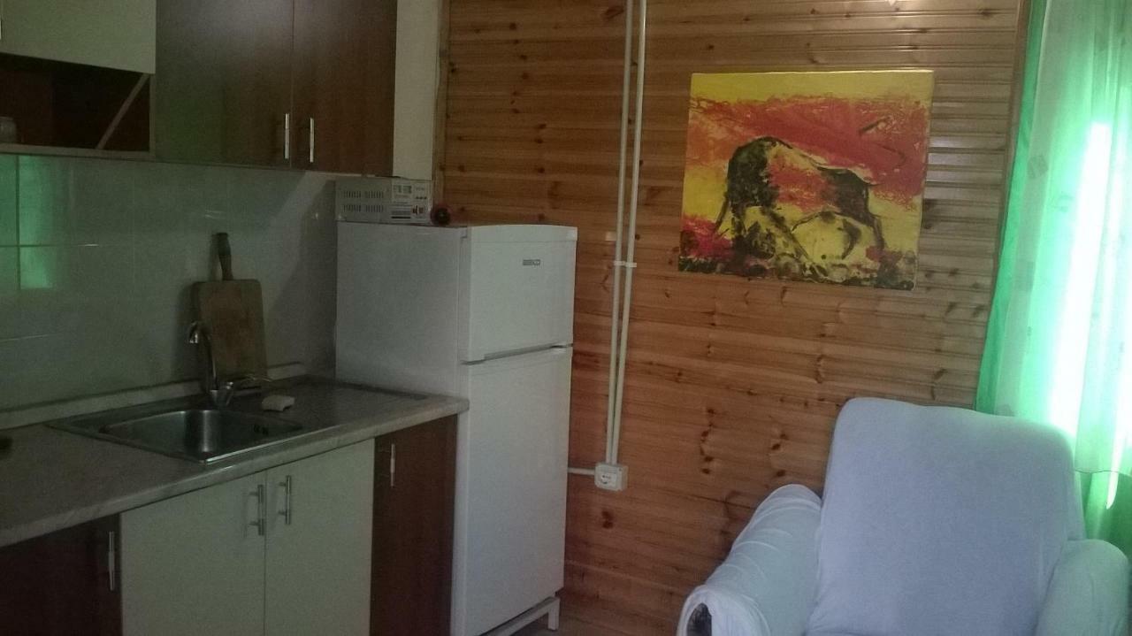 Kolonia E Artistave Velipojë